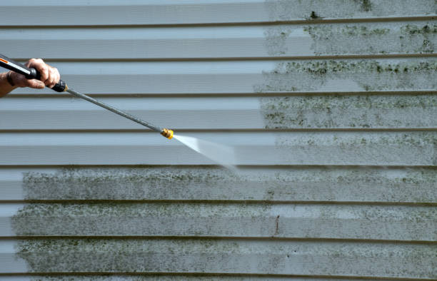 Best Mold Damage Repair  in Cleveland, NC