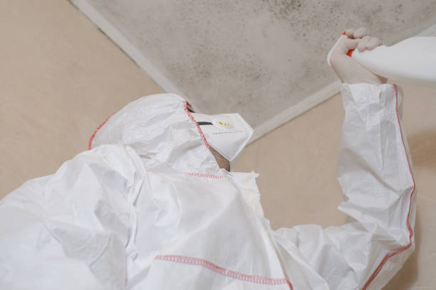 Best Office Mold Removal Services  in Cleveland, NC