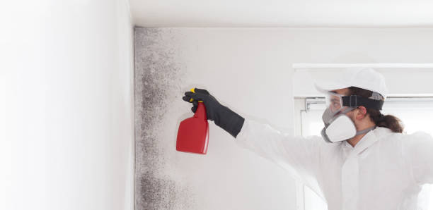 Best Residential Mold Removal  in Cleveland, NC